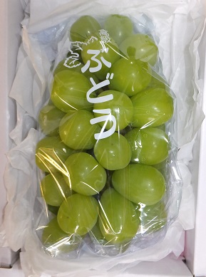 シャ－7 ぶどう「ｼｬｲﾝﾏｽｶｯﾄ」1房入(ｸｰﾙ) | 滝口観光オンライン